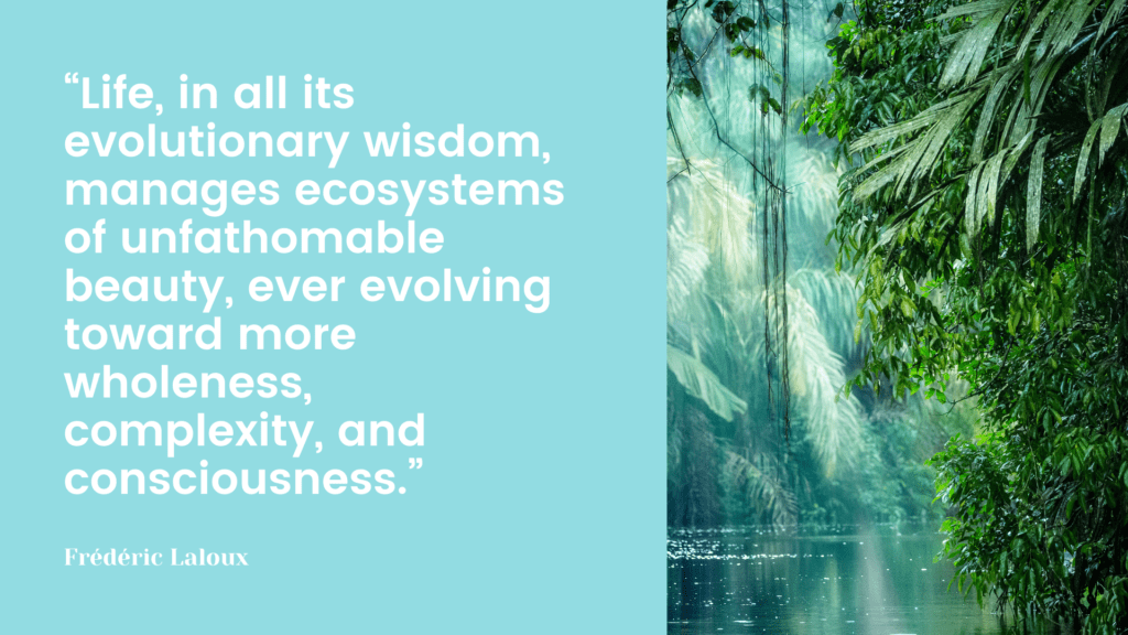 “Life, in all its evolutionary wisdom, manages ecosystems of unfathomable beauty, ever evolving toward more wholeness, complexity, and consciousness.” Frédéric Laloux